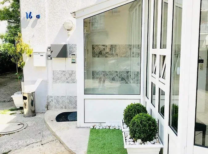 Aurelia 埃施伯恩